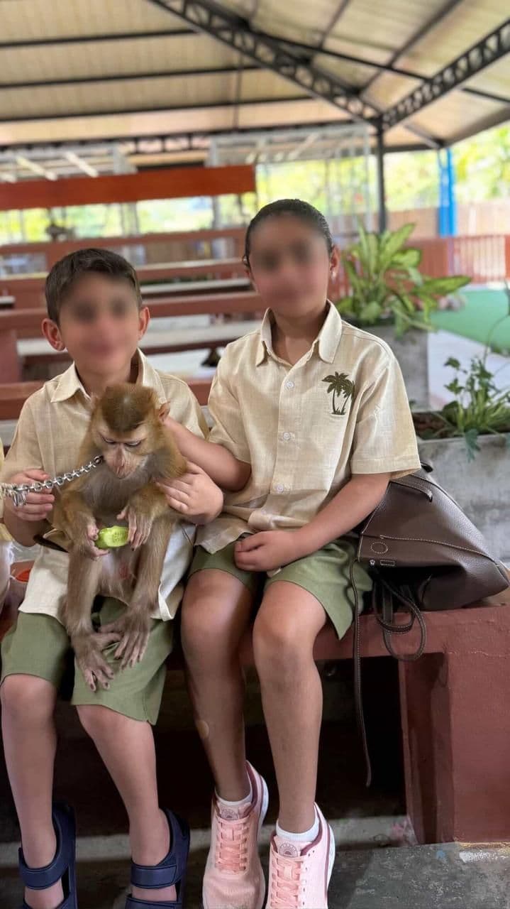 Beige & Green Kids Set