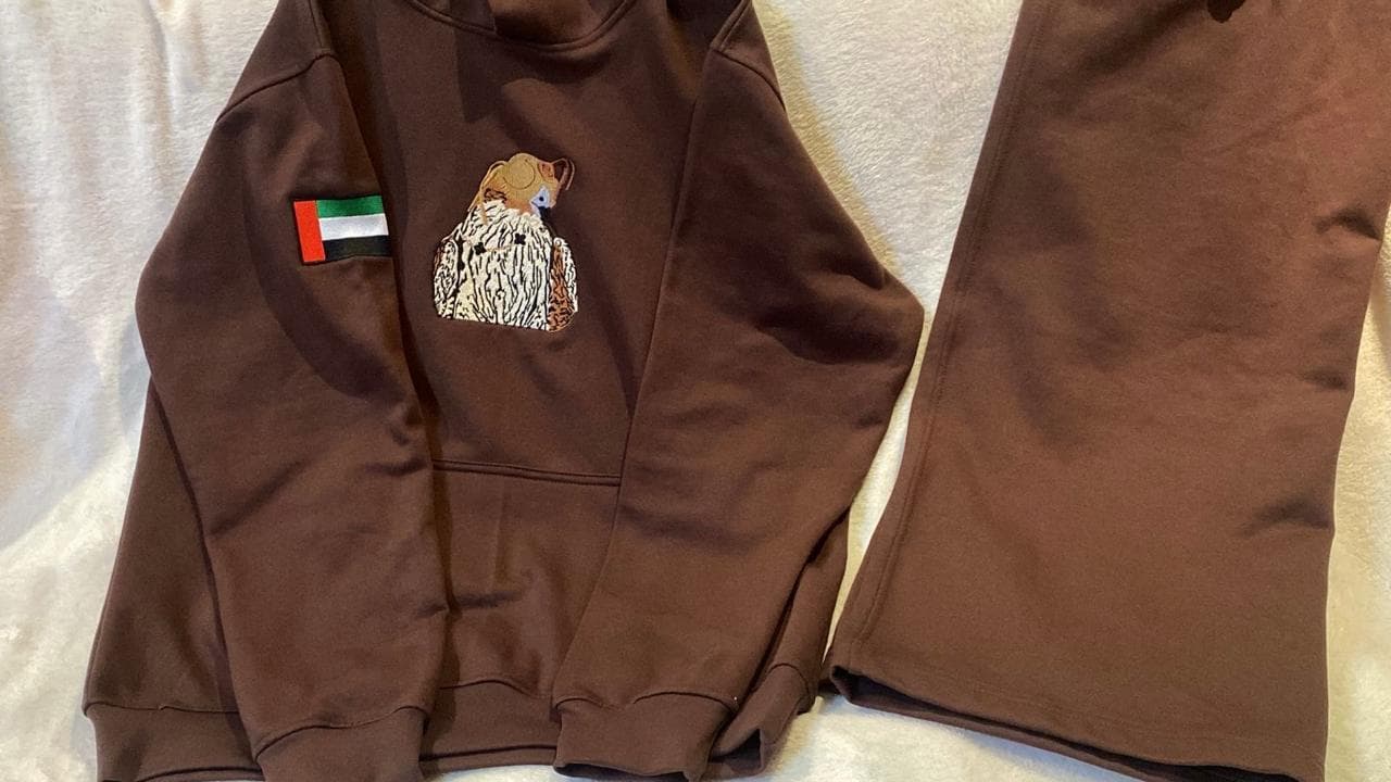 Falcon Set — hoodie + pants